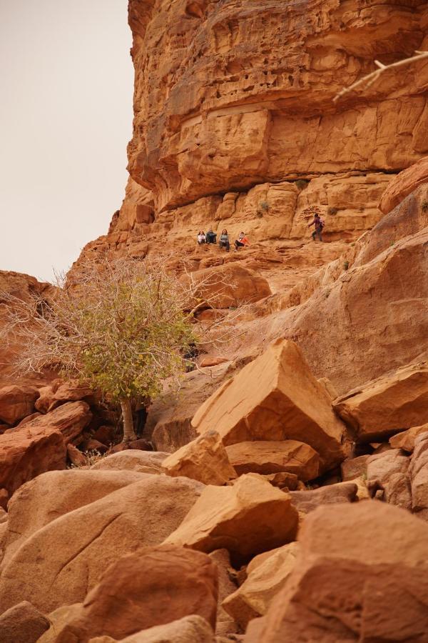 瓦迪拉姆 Quite Bedouin Life酒店 外观 照片