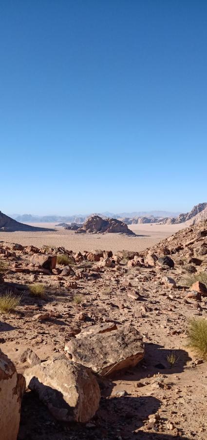 瓦迪拉姆 Quite Bedouin Life酒店 外观 照片